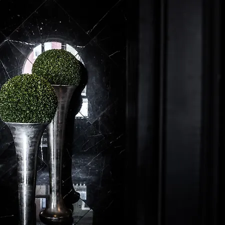 Hotel Black Kolín nad Rýnem